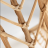 frdf-min.png